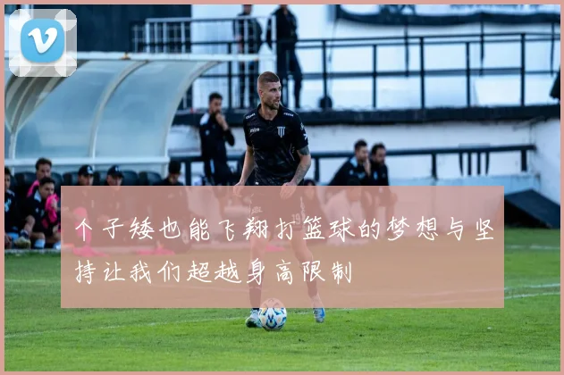 个子矮也能飞翔打篮球的梦想与坚持让我们超越身高限制